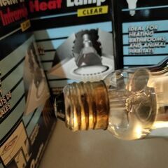 PHILIPS Infrared Heat Lamp 250wの画像