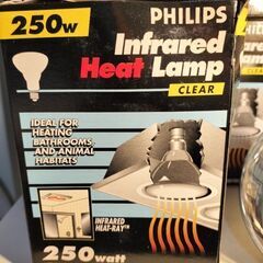 PHILIPS Infrared Heat Lamp 250wの画像