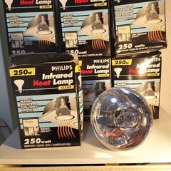 PHILIPS Infrared Heat Lamp 250w