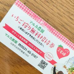 ★値下げ！★ いちご狩り( 2名様 )　招待券の画像