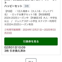 岩原スキー城または上越国際スキー場　家族チケット3組