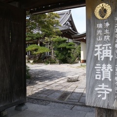 リラックスヨガ★ワンコイン★お寺ヨガ★新クラスの画像
