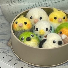 小鳥セット（缶ケース付き)の画像