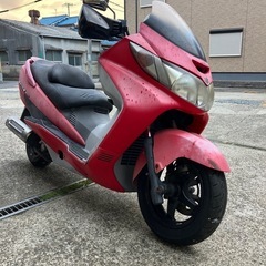エンジン始動動画あり　在庫多数投稿してます　堺市堺区　スカイウェブ250 の画像