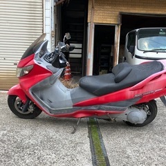 エンジン始動動画あり　在庫多数投稿してます　堺市堺区　スカイウェブ250 の画像