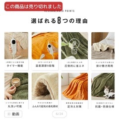 　電気ブランケット　電気毛布の画像