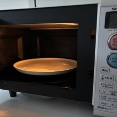 500W電子レンジ