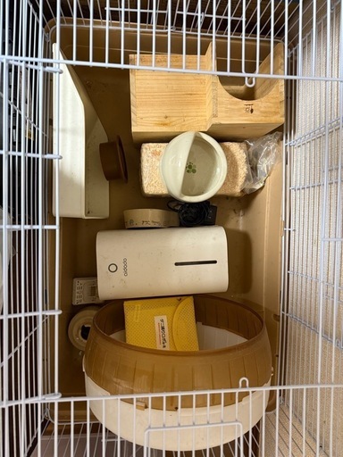 ハリネズミ飼育セット