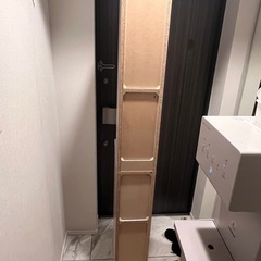 棚の画像
