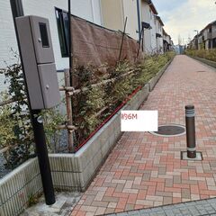 庭の植物と簡易フェンスの撤去作業手伝って下さる方を探してます