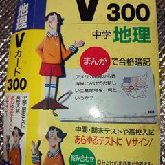 Vカード300地理（文英堂）