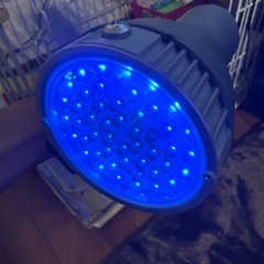 HIDランプ スーパークールの画像