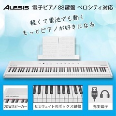 Alesias ピアノ / キーボード　/88鍵盤　