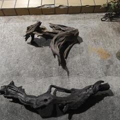 流木の画像