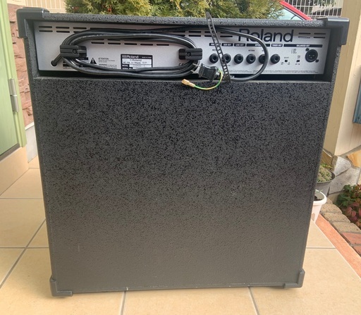 Roland D-BASS 115 ベースコンボアンプ Roland D-Bass 115X | Sweetwater