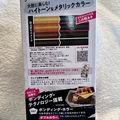 メタリックカラー  毛染め 2個セットの画像