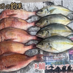 海上釣りサークルを作り、貸切で釣りをしましょう