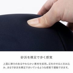 新品　ビーチステッパー エクササイズ おうちトレーニング 運動 ダイエット　シ4の画像