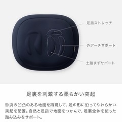 新品　ビーチステッパー エクササイズ おうちトレーニング 運動 ダイエット　シ4の画像