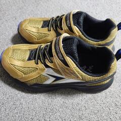 瞬足　スニーカーの画像