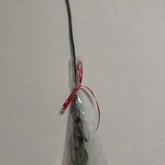 薔薇 ローズ ドライフラワー リボン付きの画像