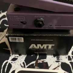 AMT WH-1 japanese girl ワウペダルの画像