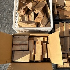 バーベキューの薪まきの画像