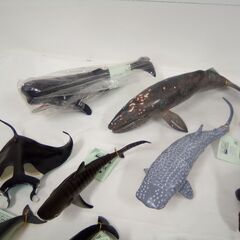 MONTEREY BAY AQUARIUM COLLECTION モントレーベイ水族館 海の生き物 