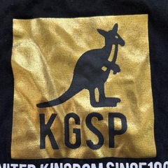 処分⭕️KGSP130の画像
