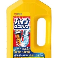 パイプユニッシユ 800g