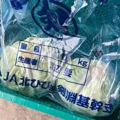 JA北ひびき剣淵【キャベツ】１玉2.5kg以上〜小売します〜