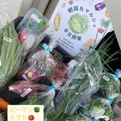 野菜