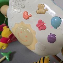 プーメリーの画像