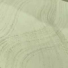 0219-009 帯の画像