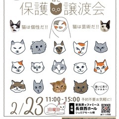 🐈‍⬛ねこまる🐱保護猫譲渡会🐈🩷✨ファミーユ長嶺西ホール