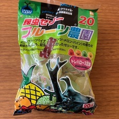 昆虫ゼリー