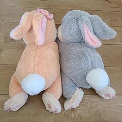 とんすけとバニーぬいぐるみの画像