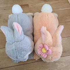 とんすけとバニーぬいぐるみの画像