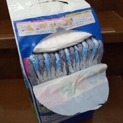 マナーウェア 男の子用 Mサイズ 小～中型犬用の画像