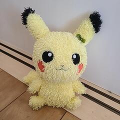 ピカチュウメス
