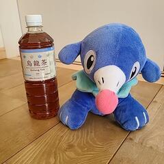 アシマリの画像