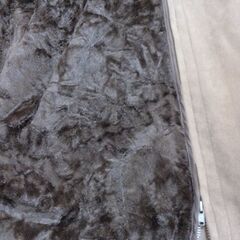 婦人スエード風コート　ベージュ　ダブルボタン　M サイズ未使用に近いインナーチャックで取り外し可　の画像