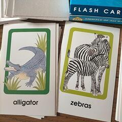 アメリカで購入、フラッシュカード未使用、の画像