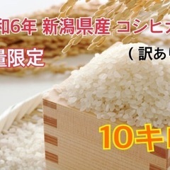 新潟県産 新米 コシヒカリ 玄米 10kg  令和6年 数量限定