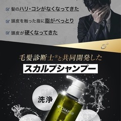 チャップアップ★ウルトラスカルプ★ノンシリコンの画像