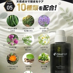 チャップアップ★ウルトラスカルプ★ノンシリコンの画像