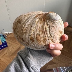 お香たての画像
