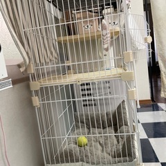 猫用ゲージの画像