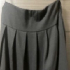 プリーツスカートの画像