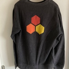 チャンネルアイランドLサイズの画像